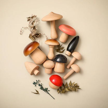 Jeu d’eveil Champignon - Set de Champignon Bois - Jeu D’eveil bébé