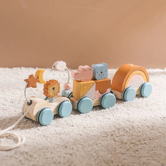 Little Wooden Train Animals