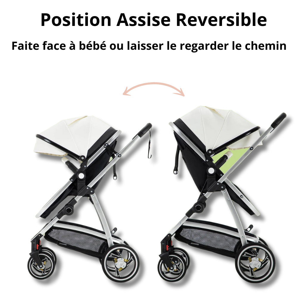 Luvia 3 in 1 stroller